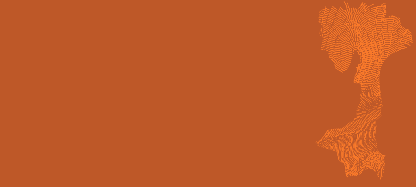 Orange Bg 01